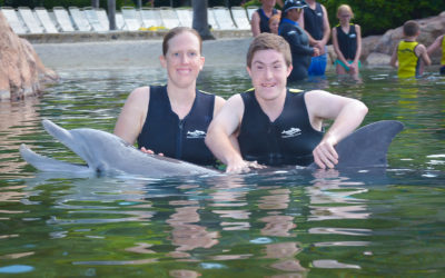 A Dolphin’s Tale of Dreams and Wishes!